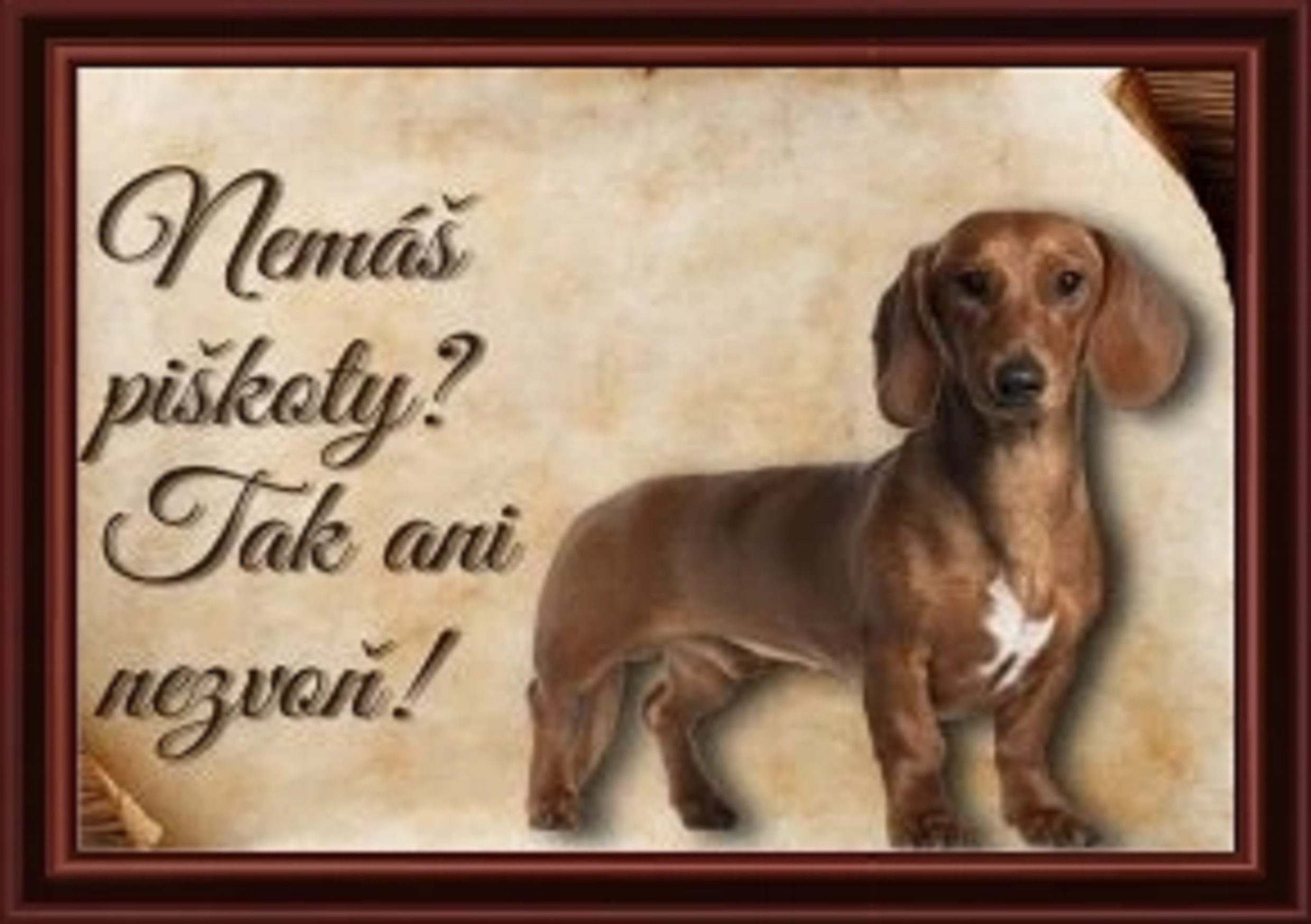 2460-1_103-cedulka-jezevcik