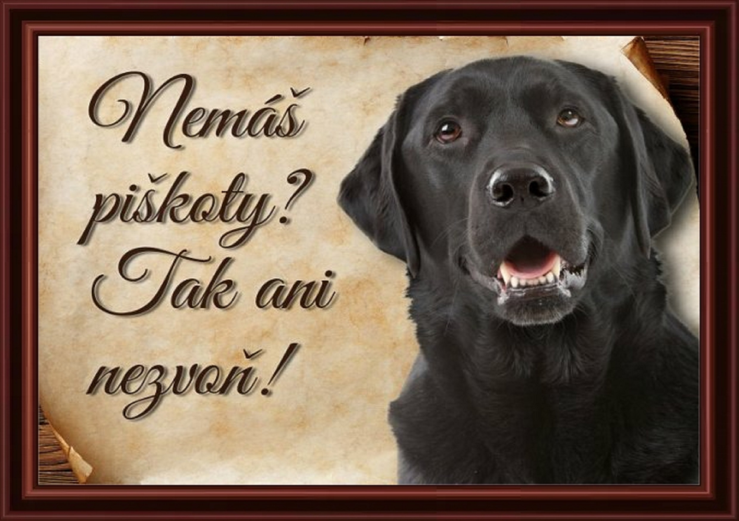 2844_cedulka-labradorsky-retrivr-piskoty-cp309