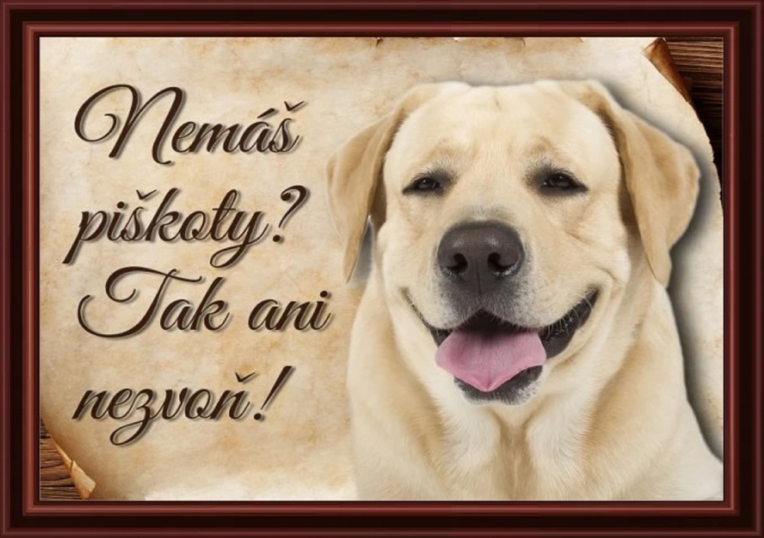 4455-1_803-cedulka-labradorsky-retrivr