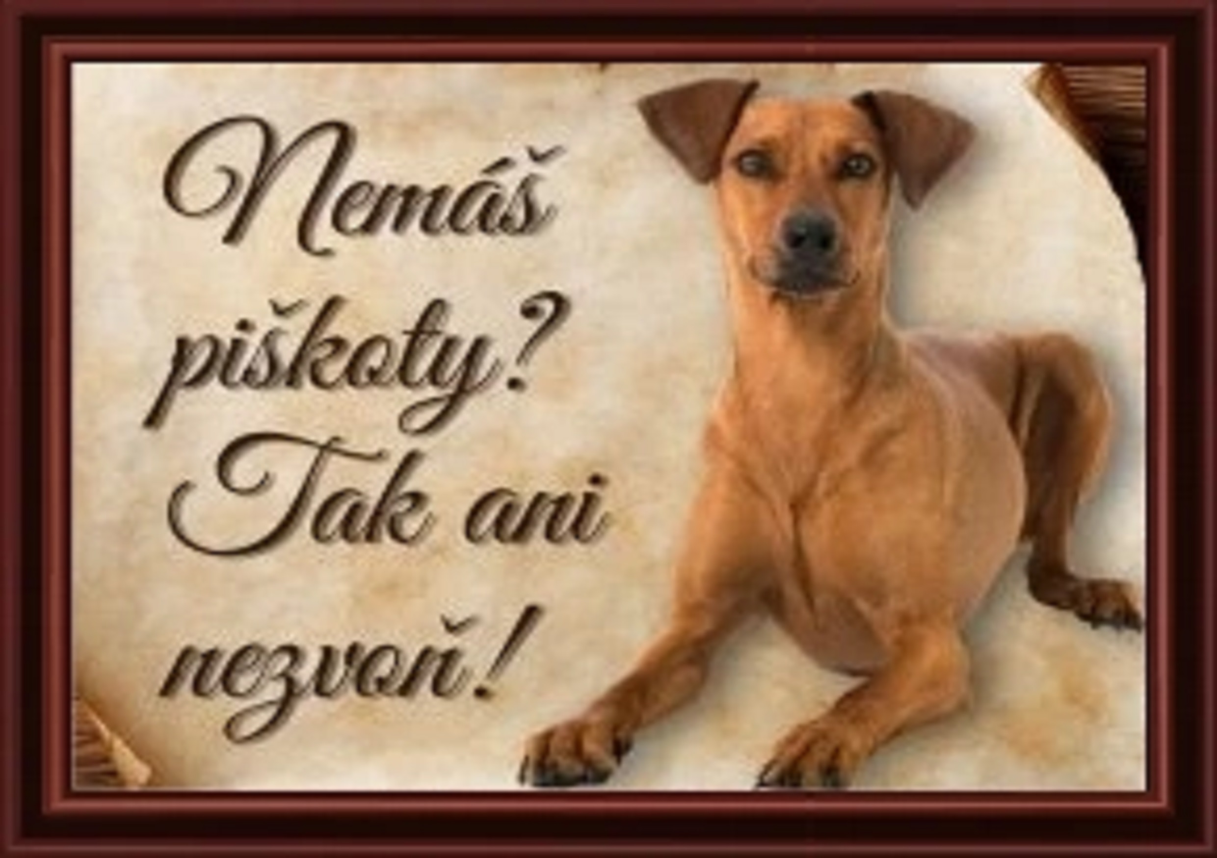 4896-1_827-cedulka-nemecky-pinc