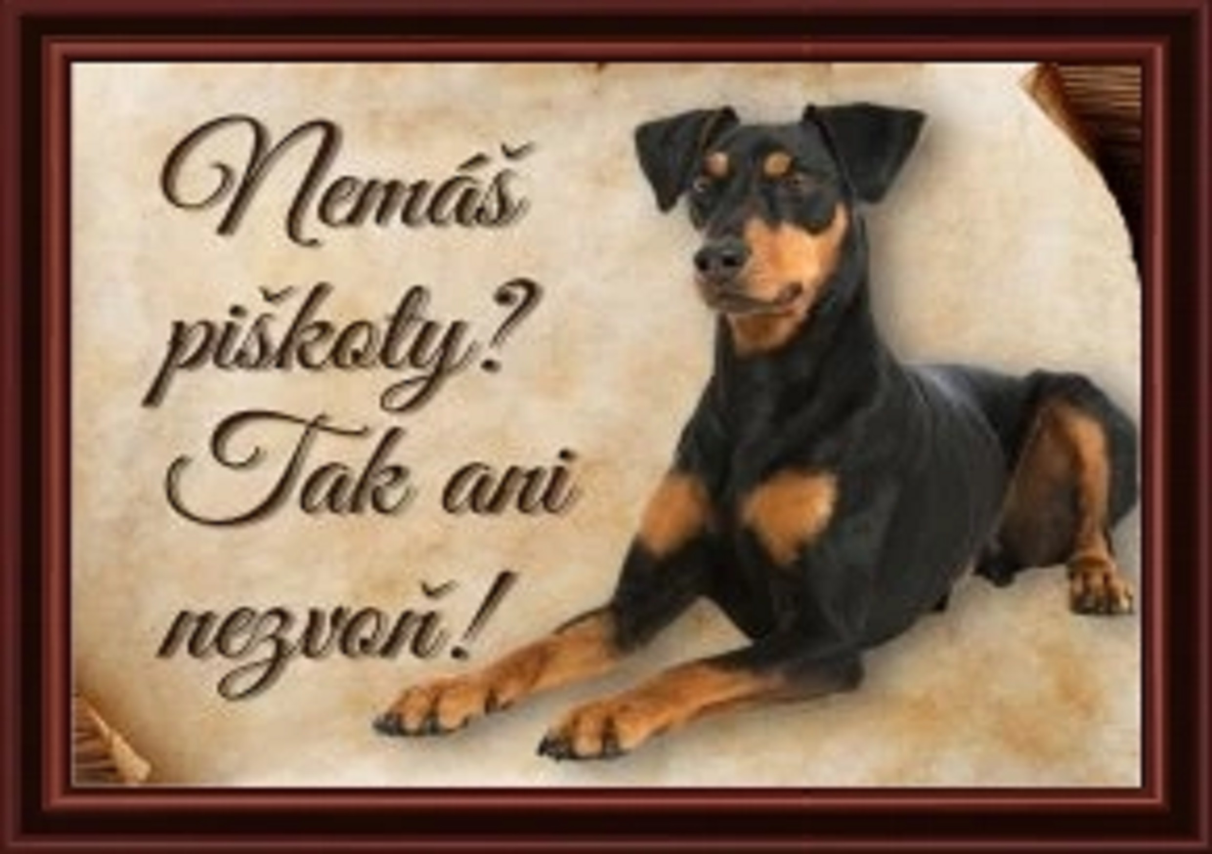 4917-1_833-cedulka-nemecky-pinc-ii