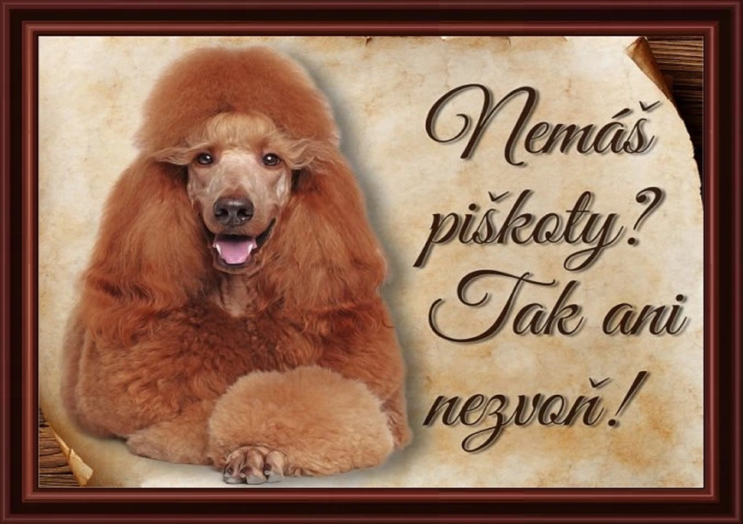 6474-1_1157-cedulka-pudl-ii