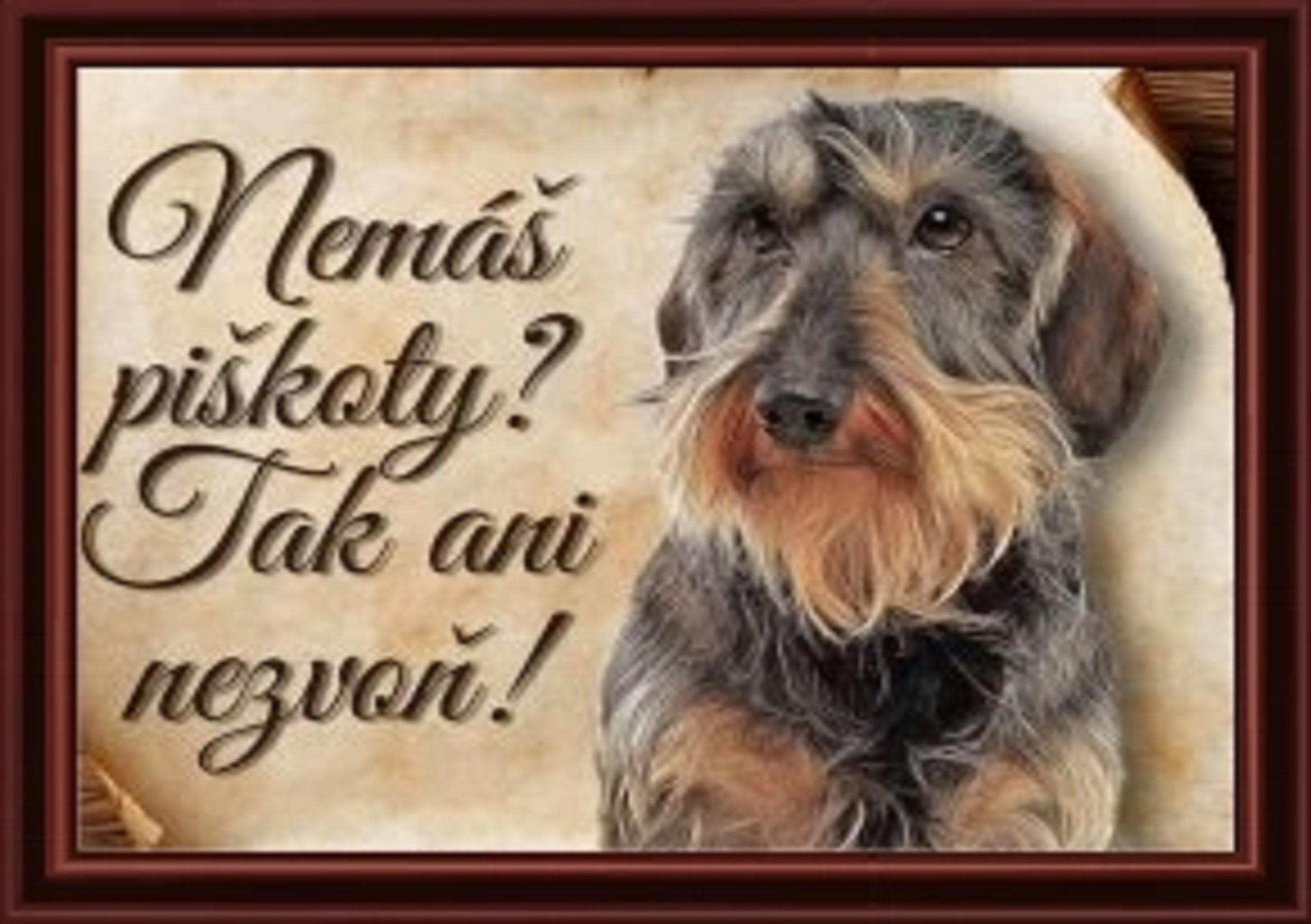 9179-1_1536-cedulka-jezevcik-hrubostrsty-ii