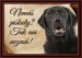 2844_cedulka-labradorsky-retrivr-piskoty-cp309