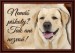4455-1_803-cedulka-labradorsky-retrivr