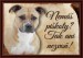 7487-1_1404-cedulka-americky-stafordsirsky-terier